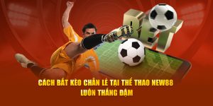 Cách Bắt Kèo Chẵn Lẻ Tại Thể Thao New88 Luôn Thắng Đậm