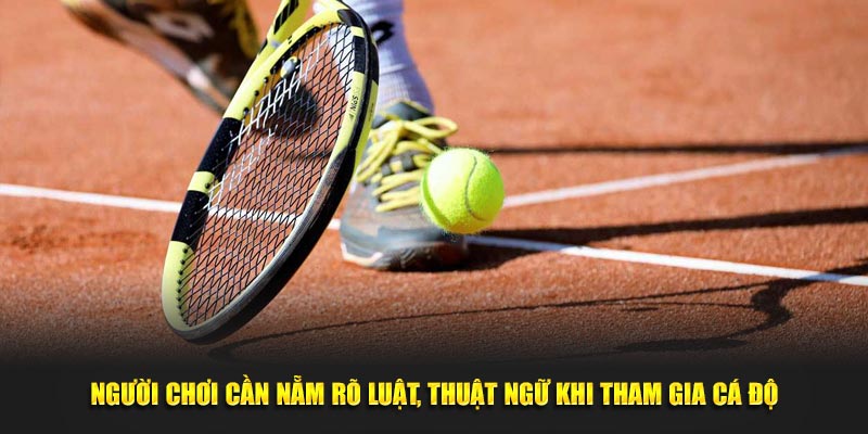 Người chơi cần nắm rõ luật, thuật ngữ khi tham gia cá độ